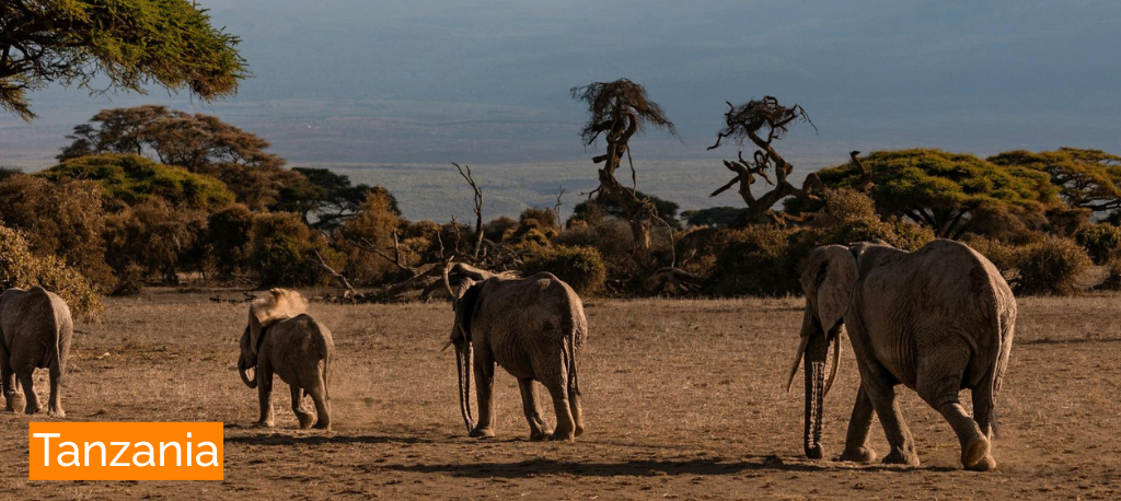 Tanzania