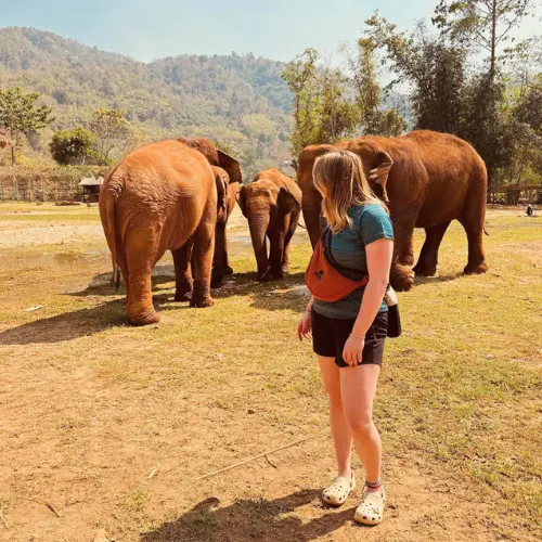 Student-in-Thailand-Challenges-Abroad