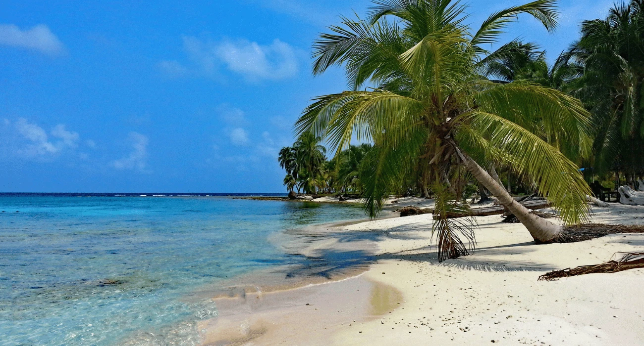 Panamass (5)