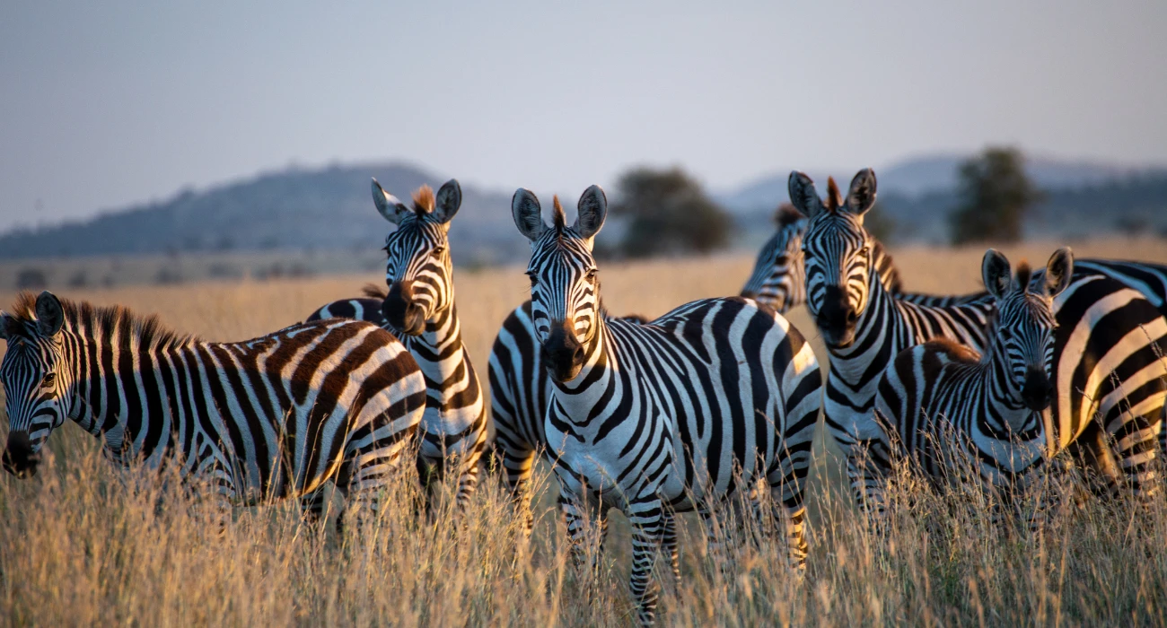 Tanzania (4)