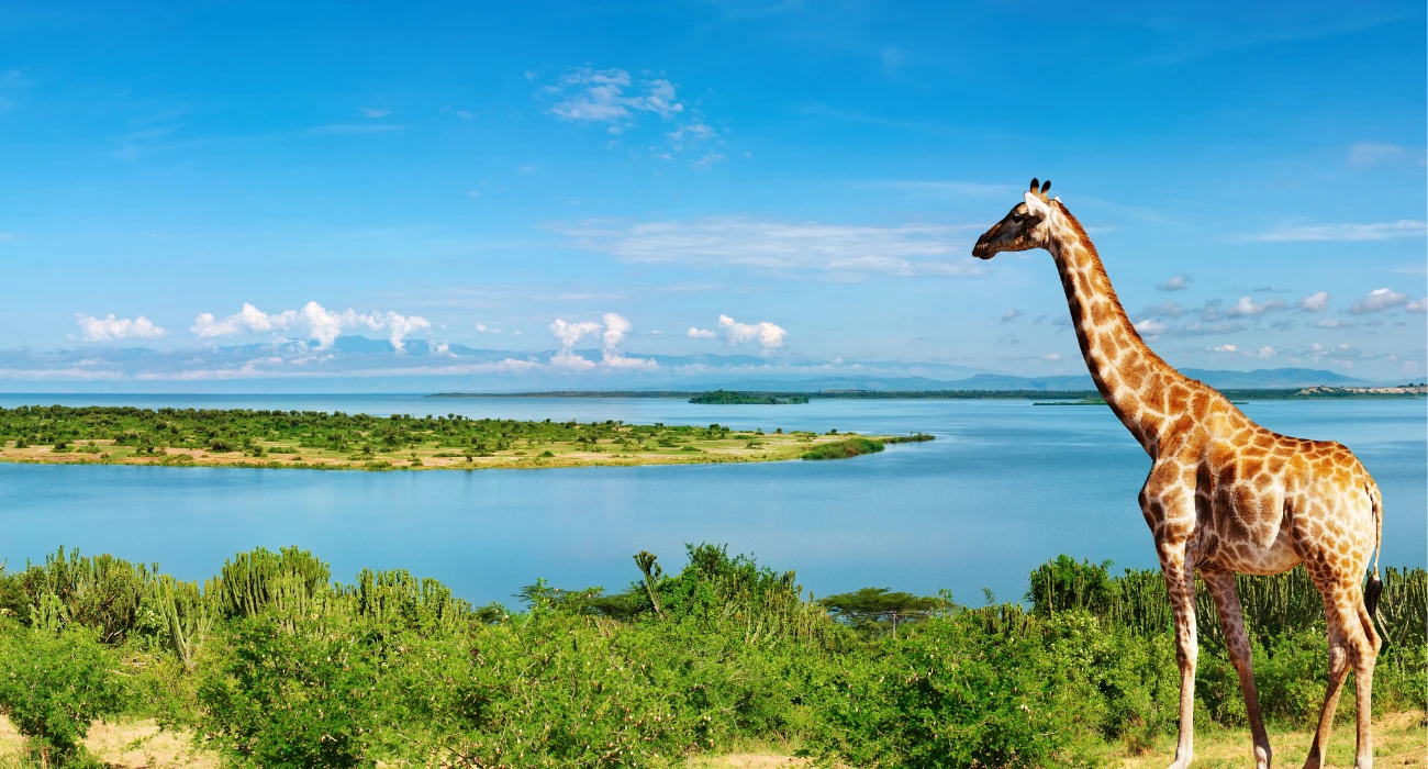 Uganda (3)
