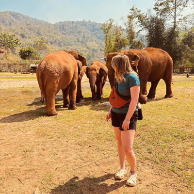 Student standing in front of three elephants in Thailand